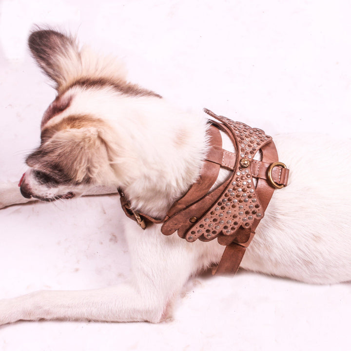Art N Vintage- Vintage Leather Sand Handmade Pet Collar